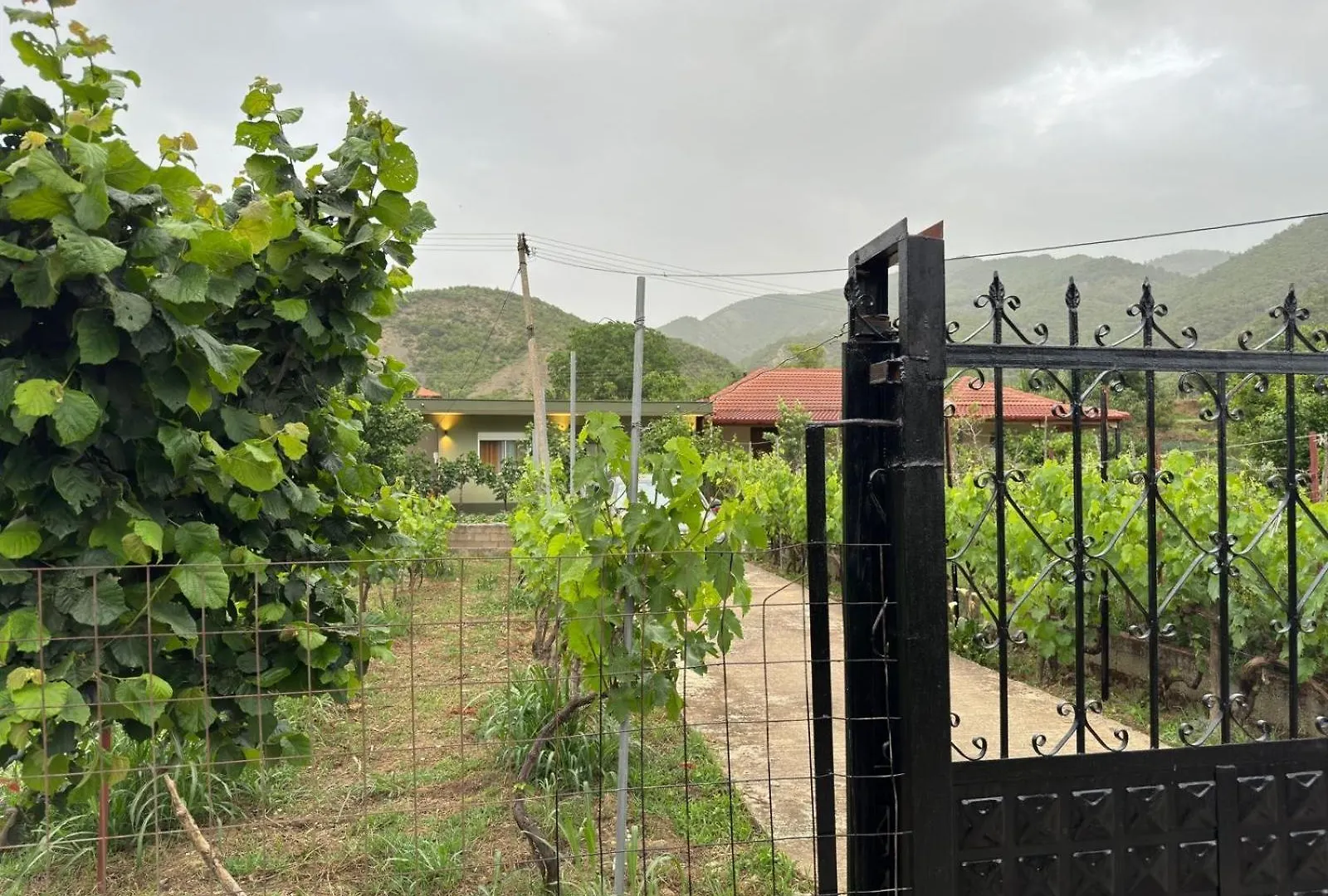 Green House Përmet Albanie